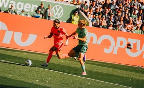 沃爾夫斯堡 vs 法蘭克福