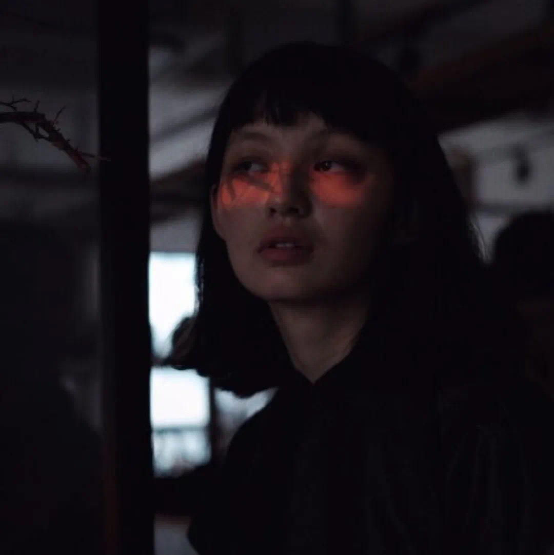 6686体育官方作者Xenia