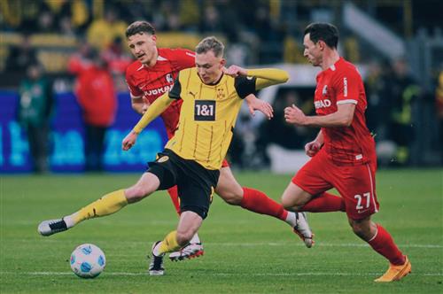 多特蒙德 vs 弗萊堡