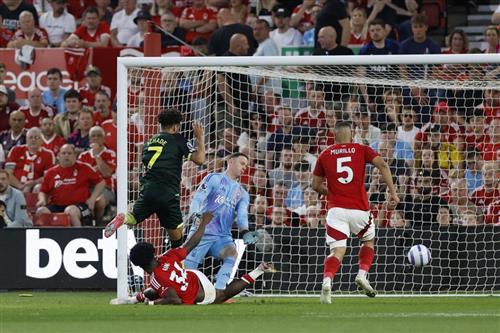 諾丁漢森林 vs 布倫特福德